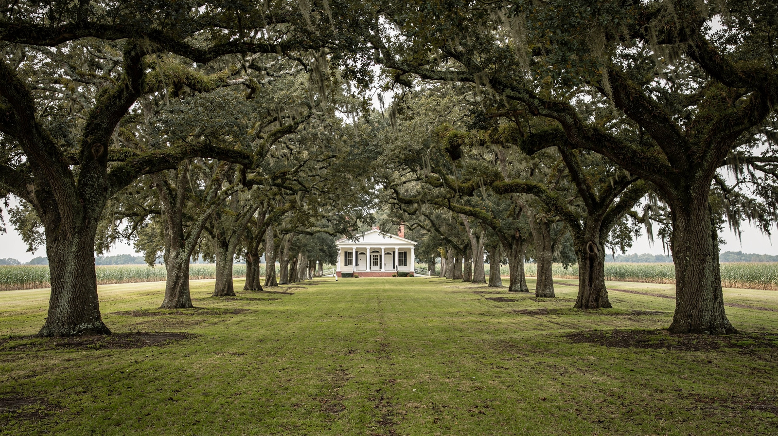 Whitney Plantation non è una gita spensierata