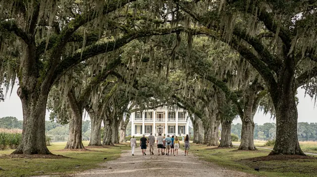 Plantation tours