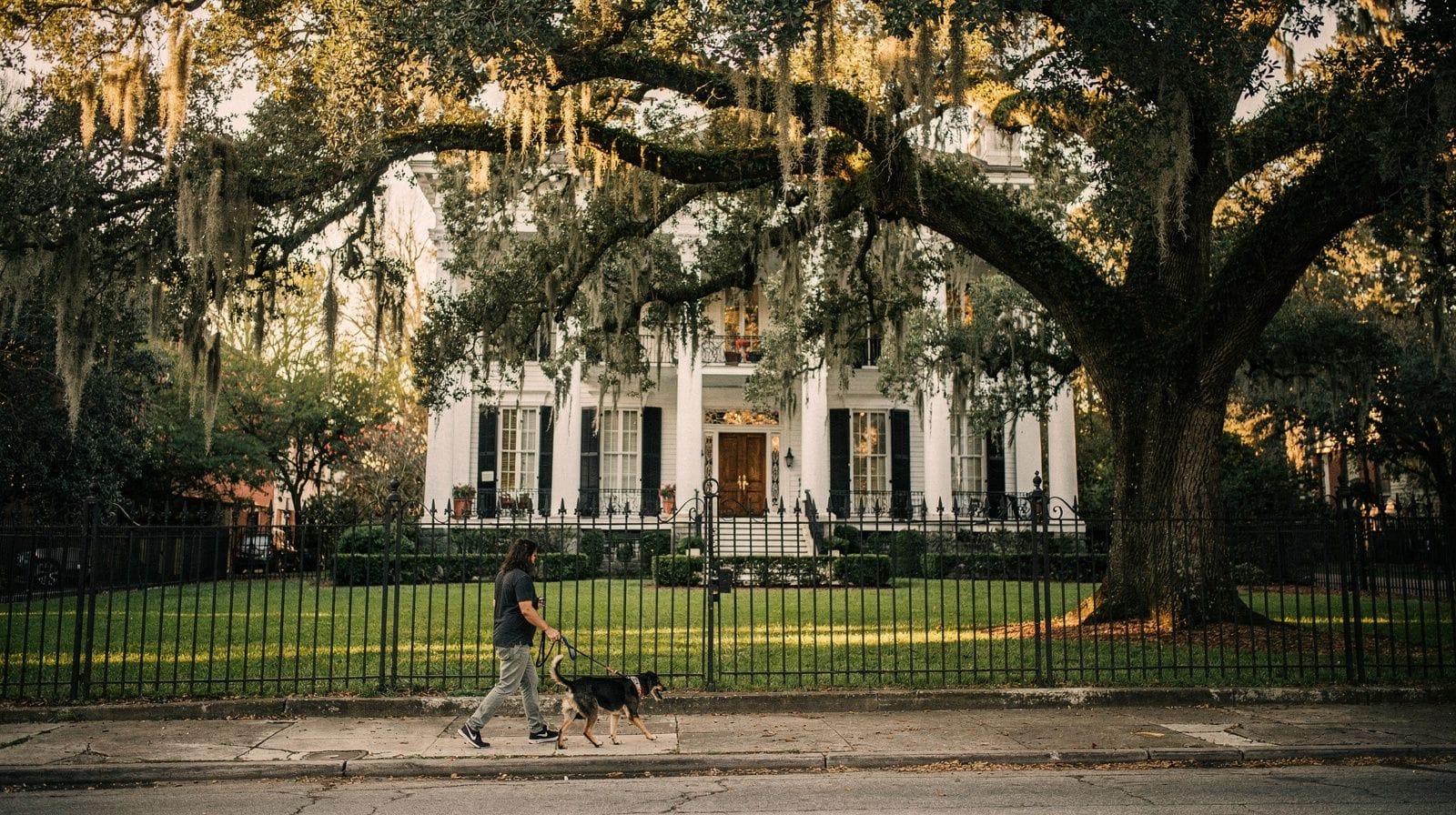 Garden District: St Charles Streetcar, Mansions and Lafayette Cemetery