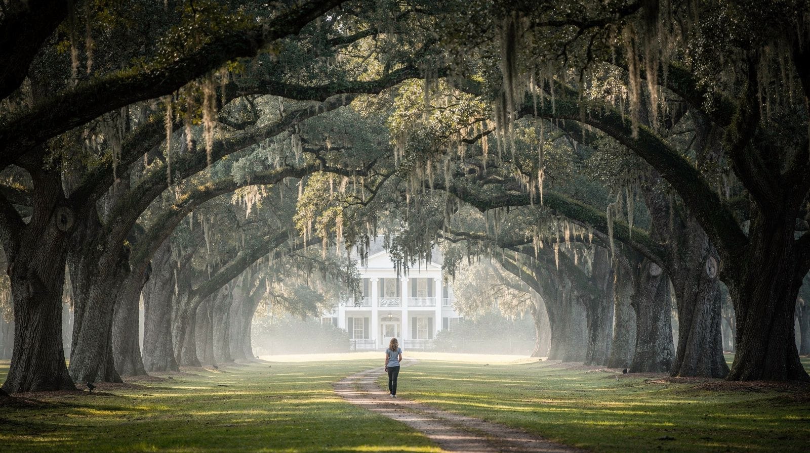 Oak Alley Plantation: The Quarter-Mile Alley of Live Oaks