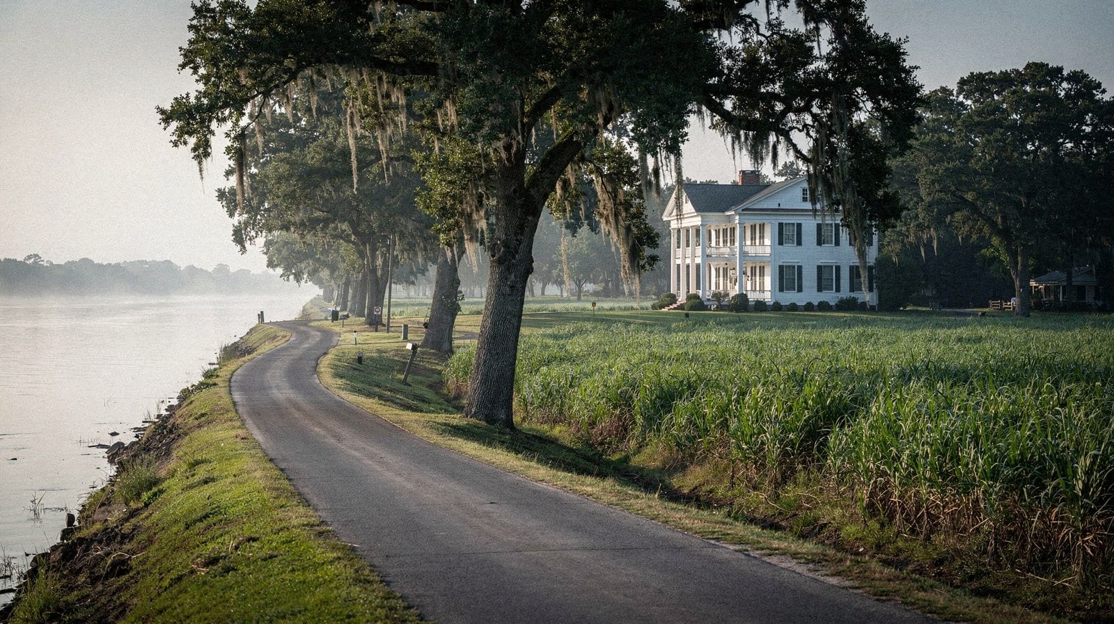 The River Road: Plantation Country Between New Orleans and Baton Rouge