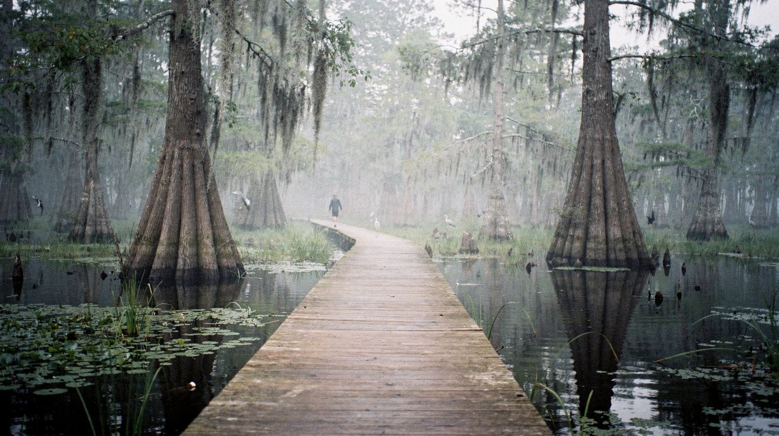 Guide de l'Atchafalaya Basin