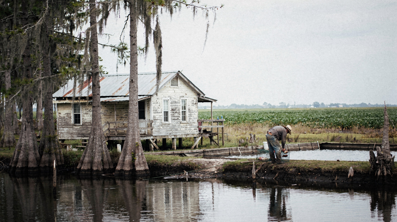 Cajun Country et Lafayette : guide de l'Acadiana
