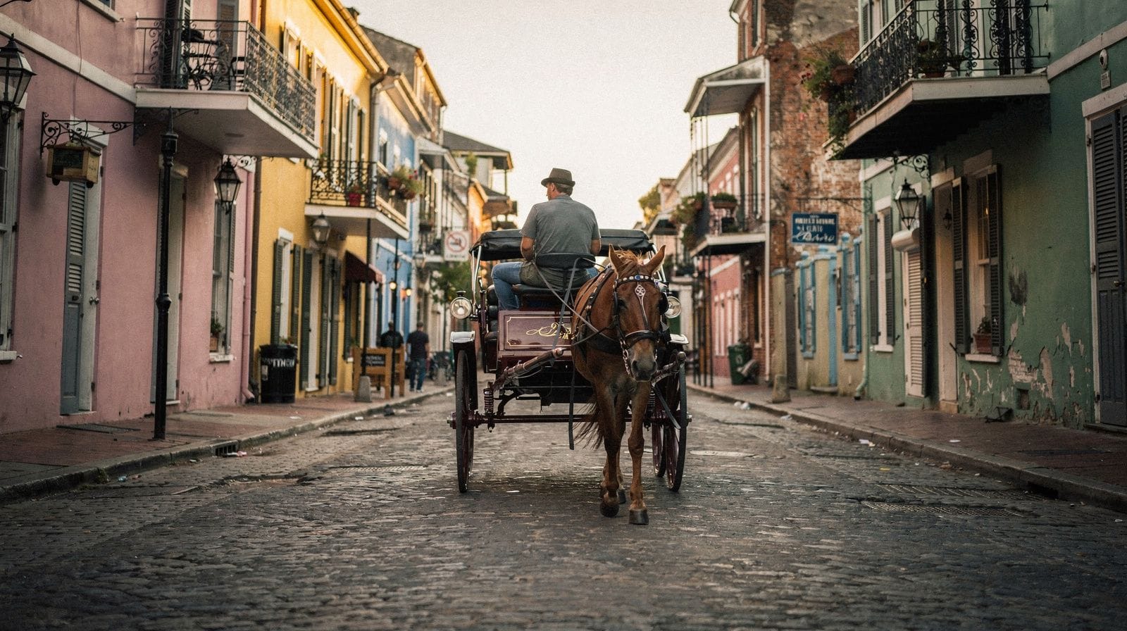 Calèche à mules ou vélo : quel rythme choisir à New Orleans ?