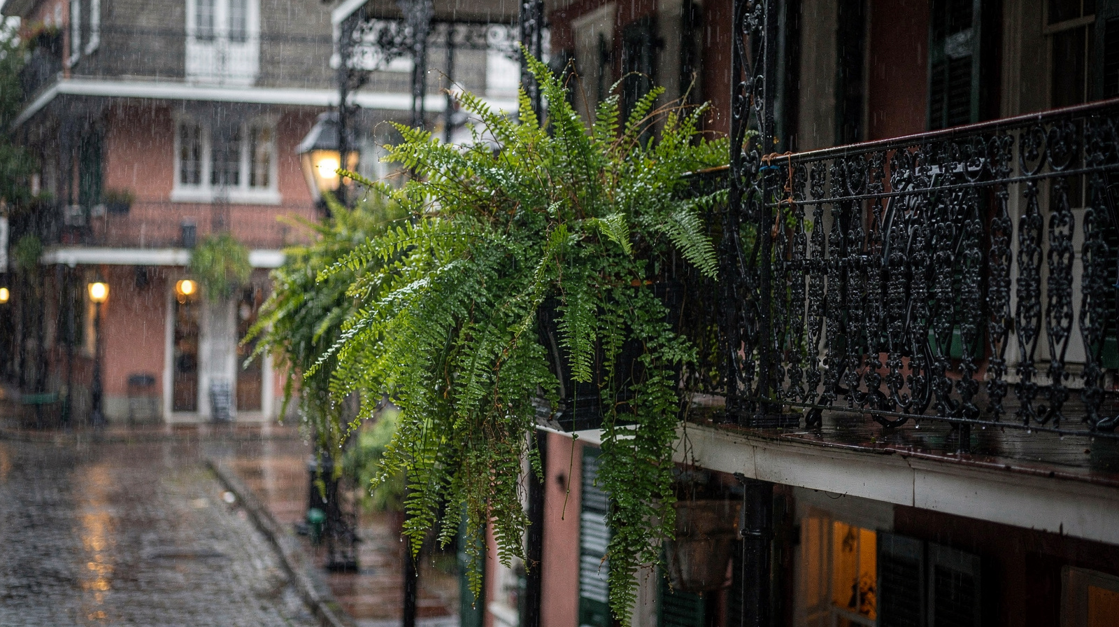 Saison des ouragans : ce que les visiteurs de New Orleans doivent savoir