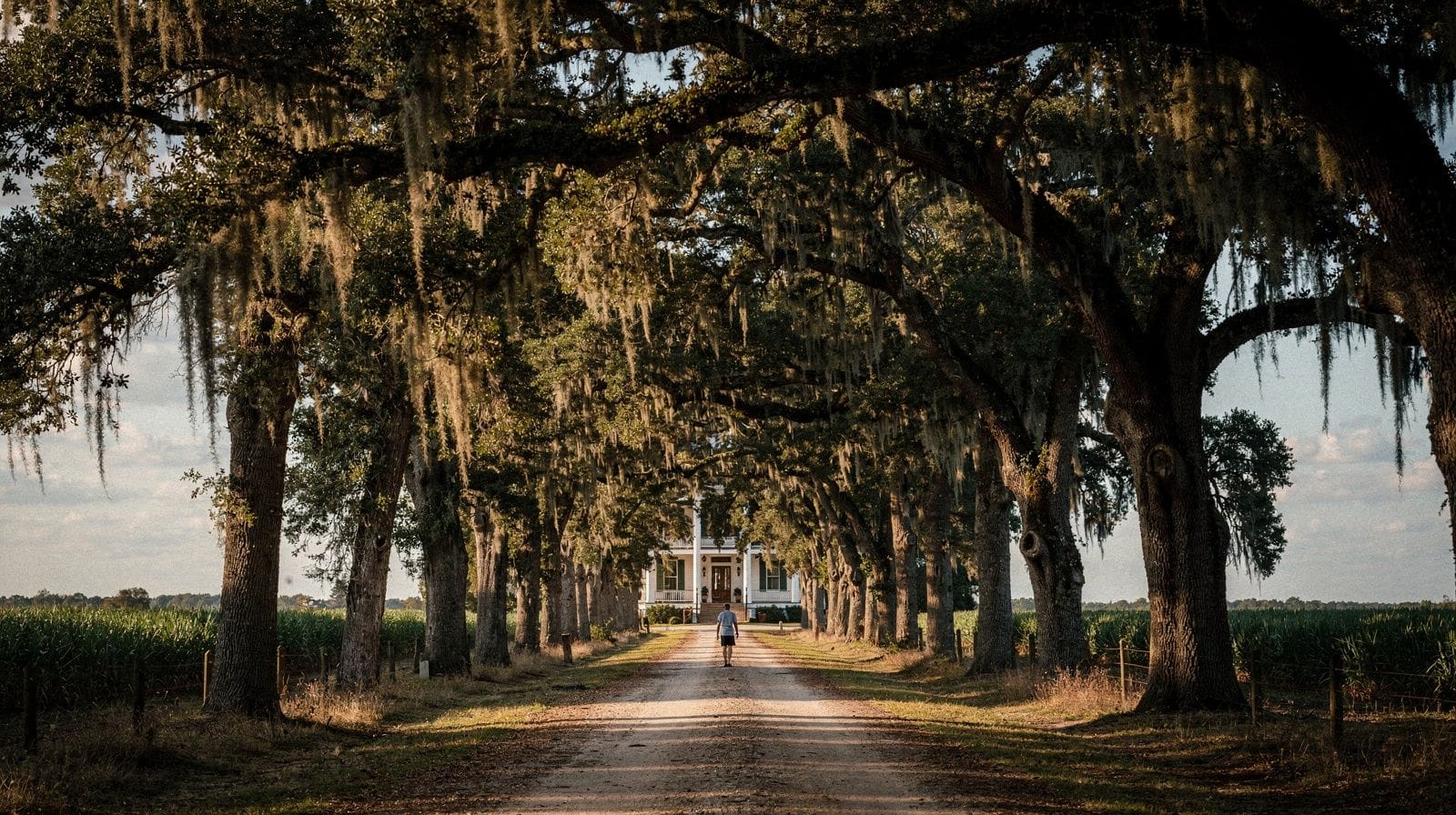 Oak Alley : une excursion d'une journée depuis New Orleans