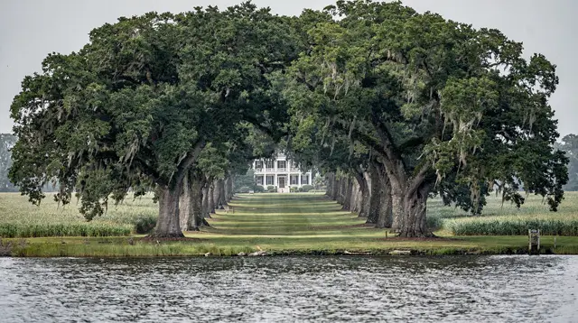 Plantations Along the River Road, Compared