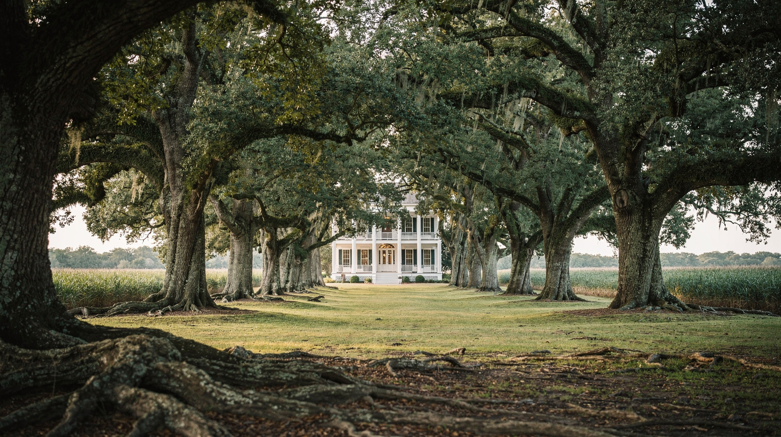 Les plantations de la River Road : une excursion d'une journée depuis New Orleans