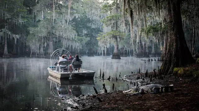 Swamp Tours Compared: Airboat vs Boat