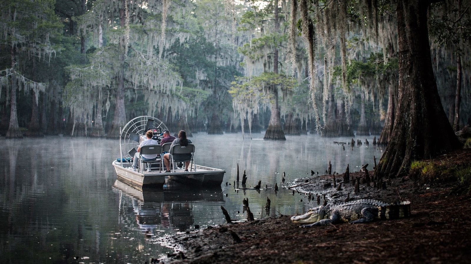 Airboat ou boat : comparatif des excursions dans le swamp