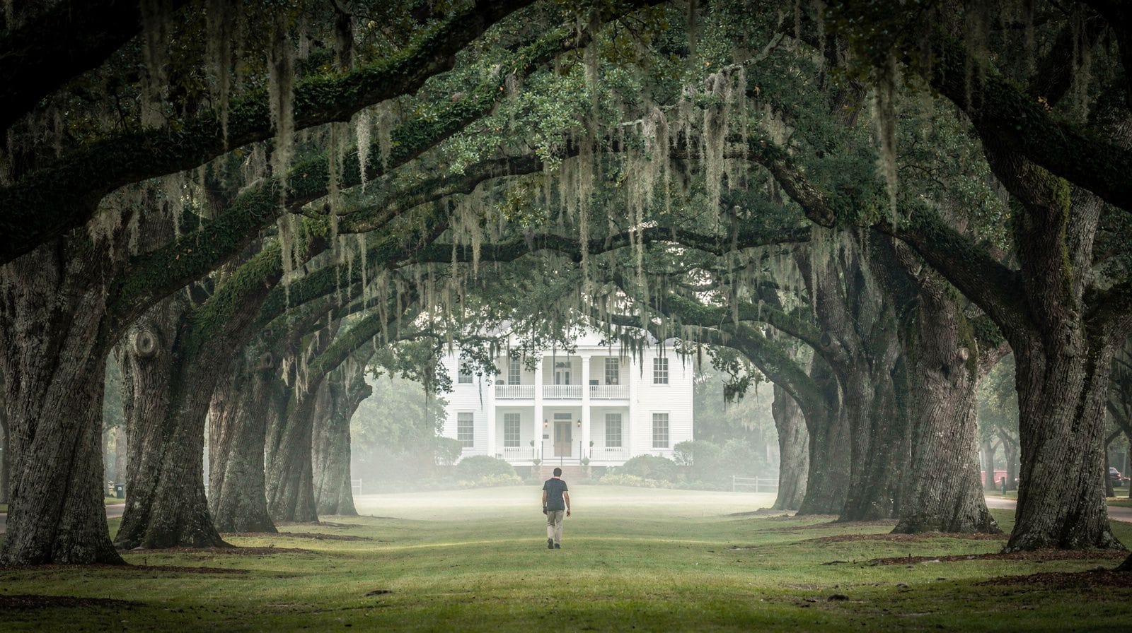 Que faire à Oak Alley Plantation