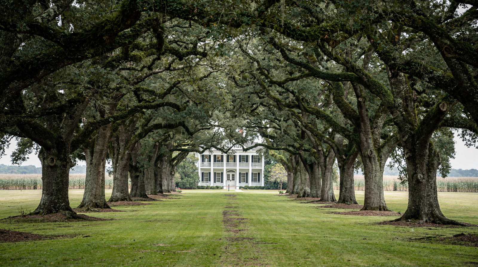 Que faire aux plantations de River Road