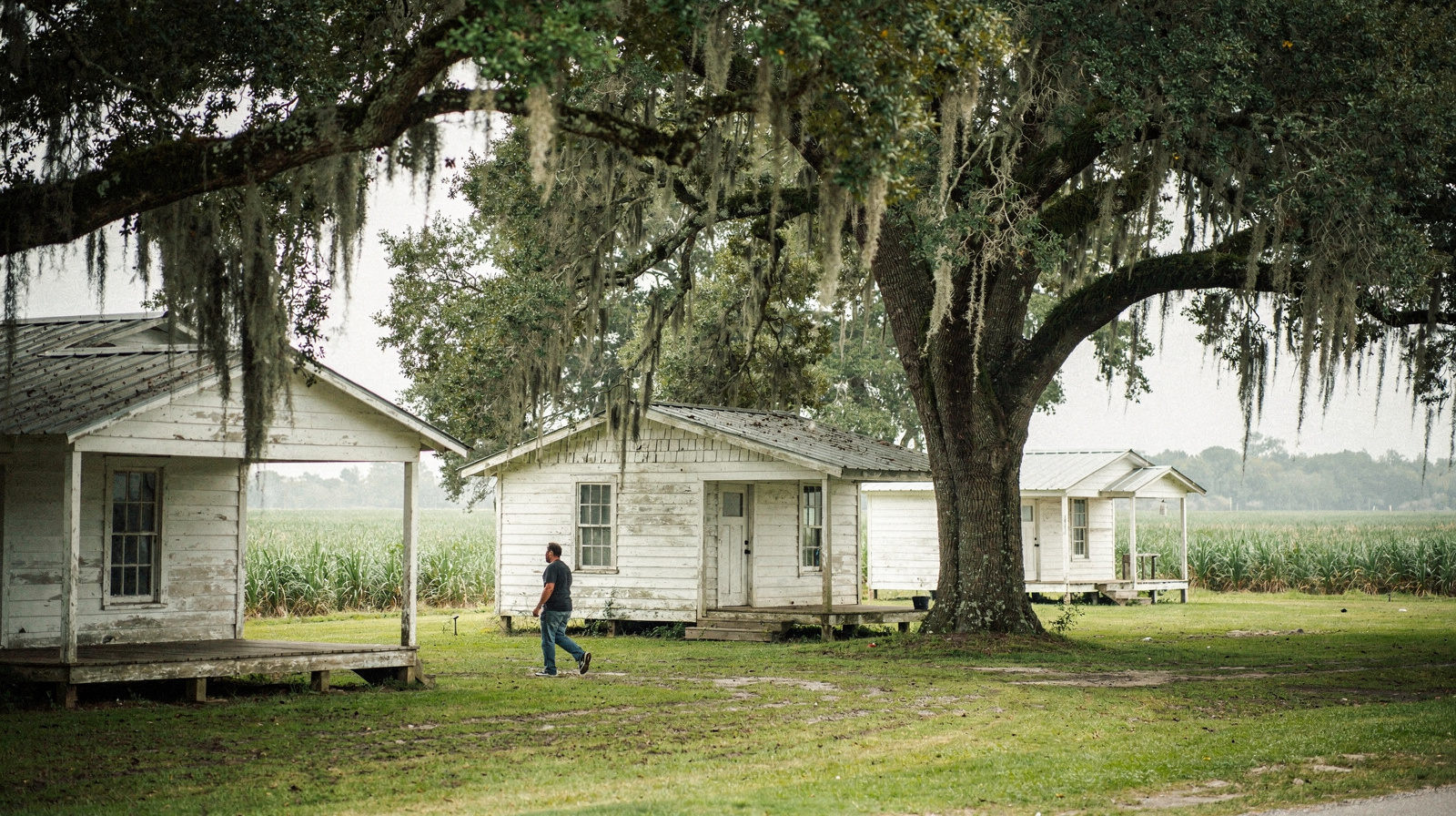 Que faire à la Whitney Plantation