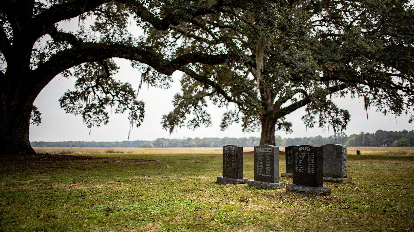 Whitney Plantation et l'histoire de l'esclavage