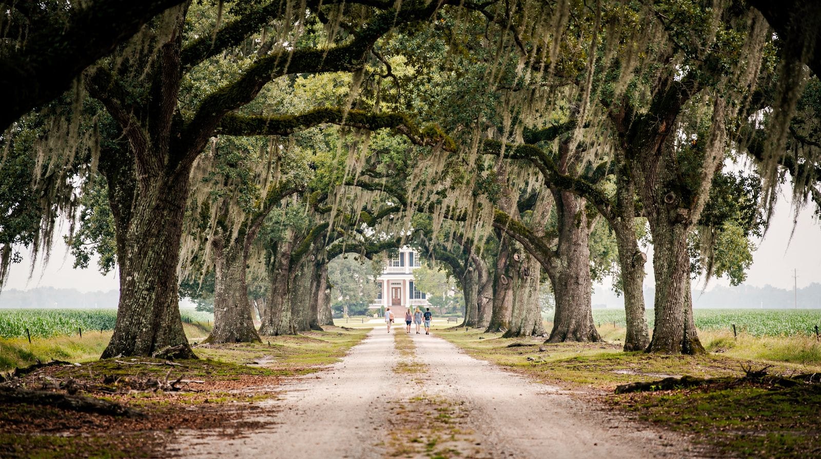 Excursion d'une journée à Whitney Plantation depuis New Orleans