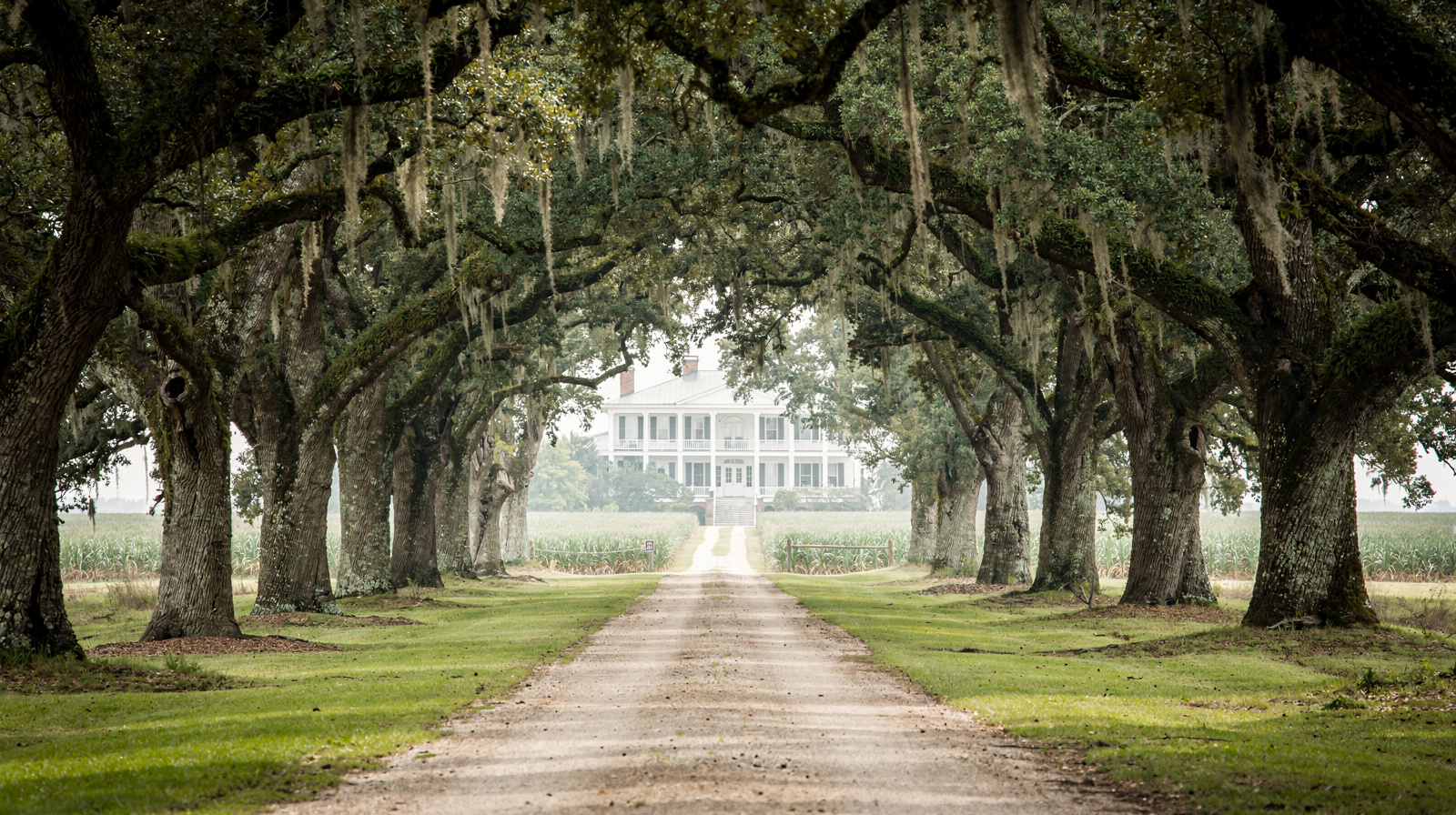 Visiter Whitney Plantation : le musée-mémorial de la River Road